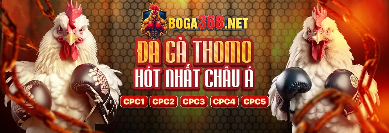 Tổng hợp ưu đãi b888 login 2024